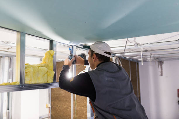 Best Eco-Friendly or Green Insulation Solutions  in White Marsh, MD